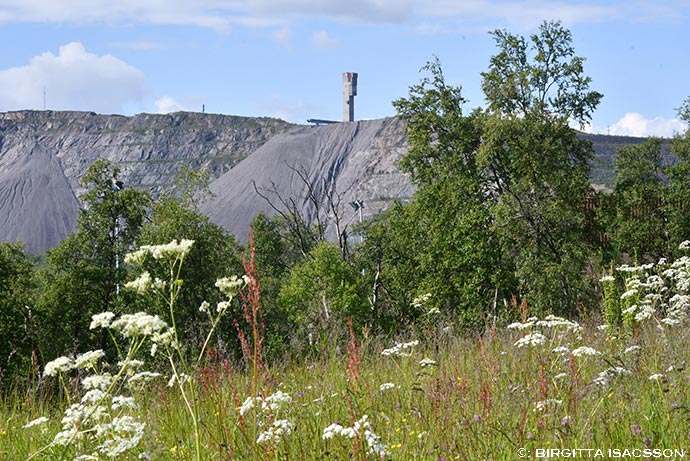 Kiruna-09 Kiruna-09