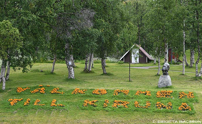 Kiruna-bilder-07