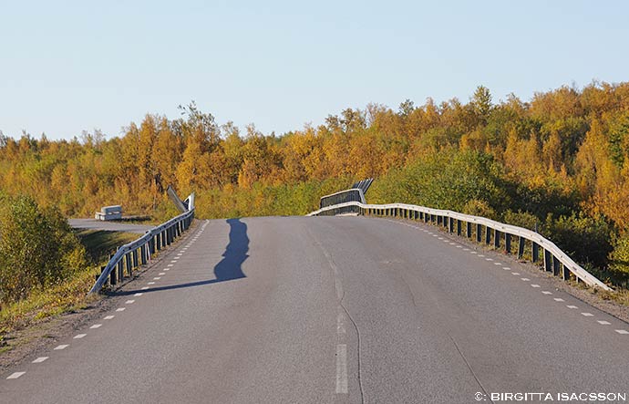 Kiruna-bilder-03