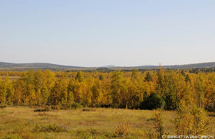 Kiruna-bilder-17