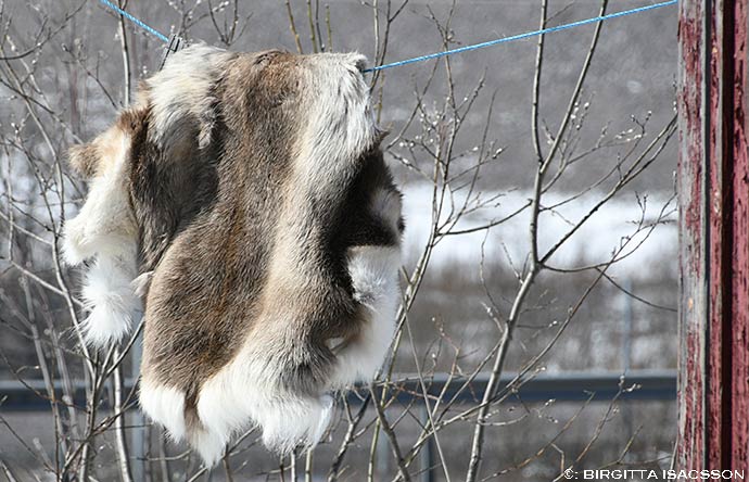 Kiruna-bilder-03