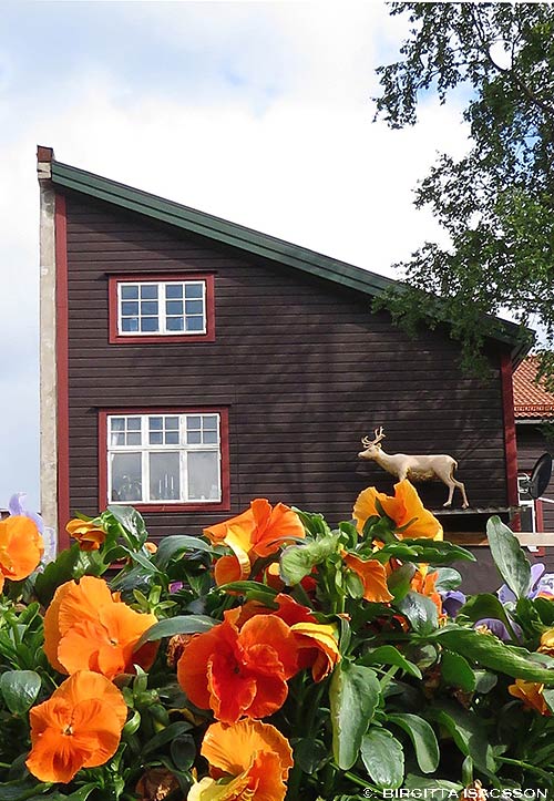 Kiruna-bilder-09