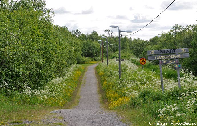 Kiruna-bilder-02