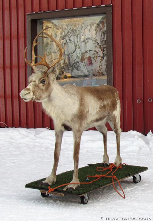 Kiruna-bilder-09