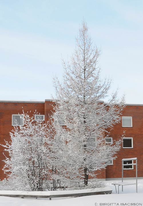 Kiruna-bilder-03