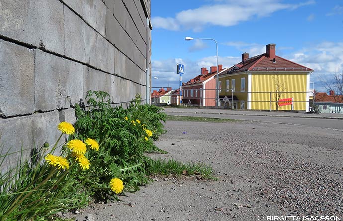 Kiruna-bilder-09