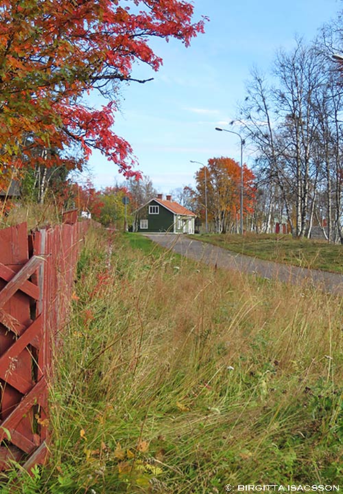 Kiruna-bilder-05