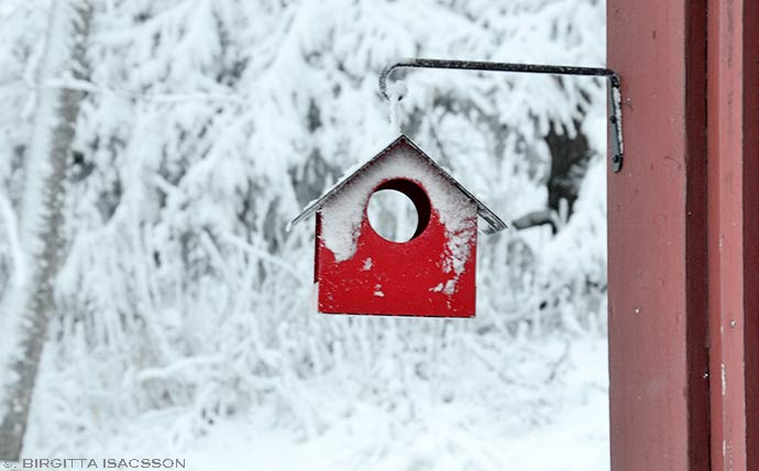 Kiruna-bilder-04