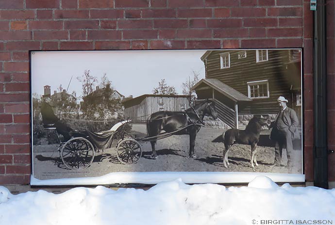 Kiruna-bilder-03