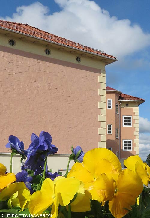 Kiruna-bilder-03