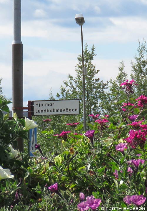 Kiruna-bilder-04