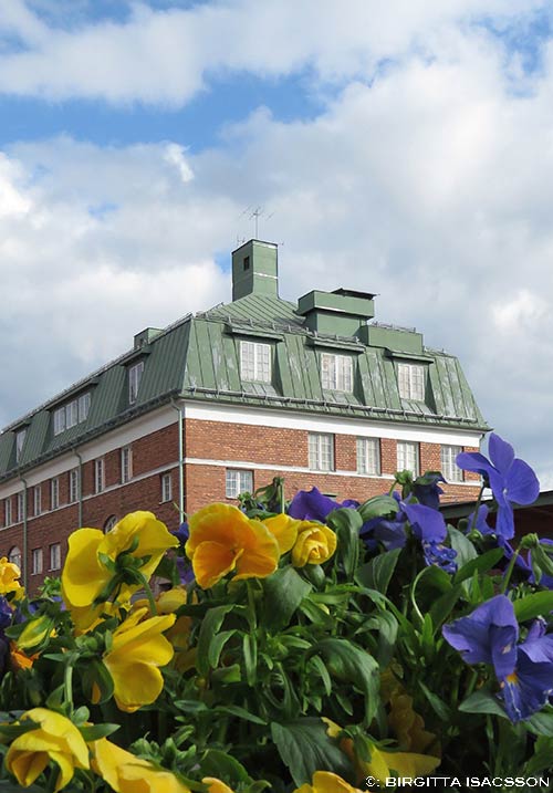 Kiruna-bilder-12