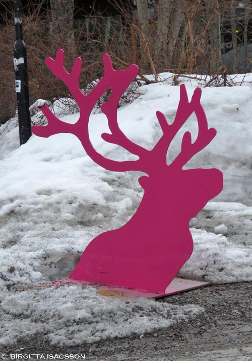 Kiruna-bilder-04