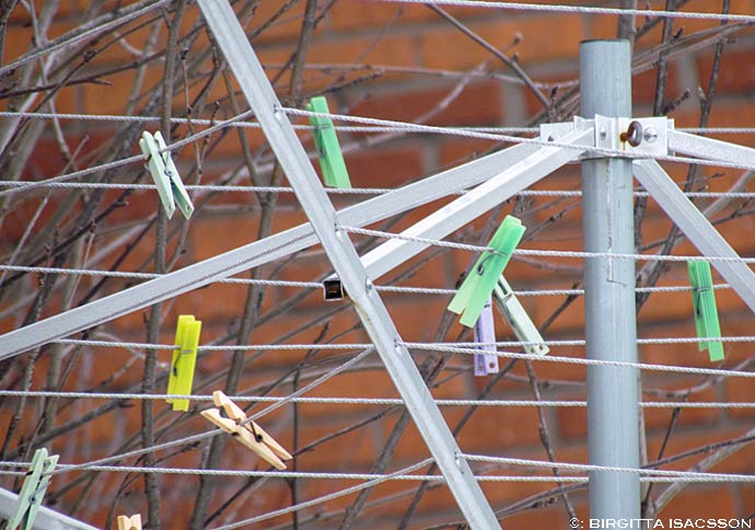 Kiruna-bilder-11
