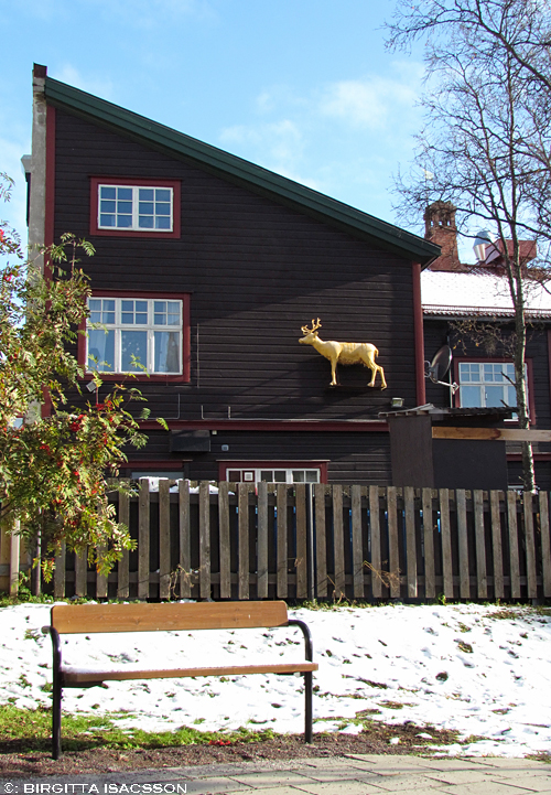 Kiruna bilder 12