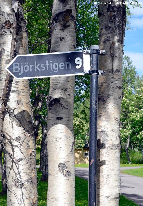 Kiruna-bilder-02