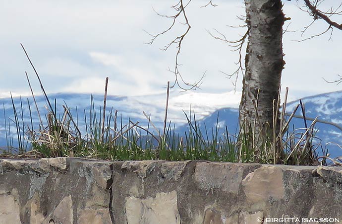 Kiruna-bilder-07