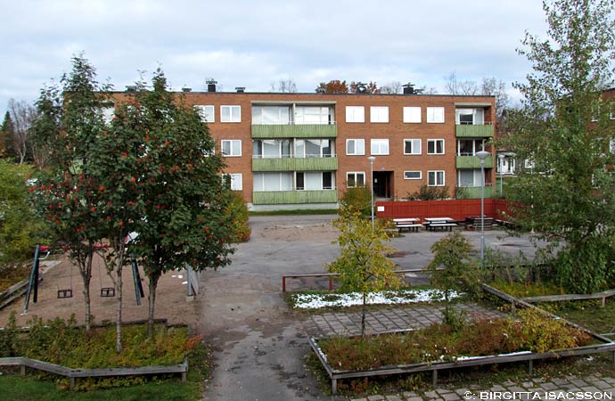 Kiruna-bilder-10