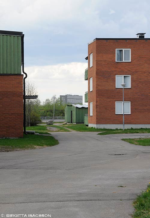 Ullspiran-09