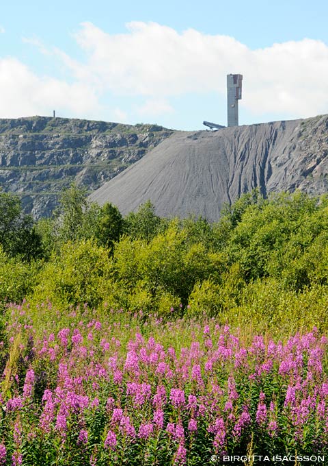 Kiruna-bilder-08