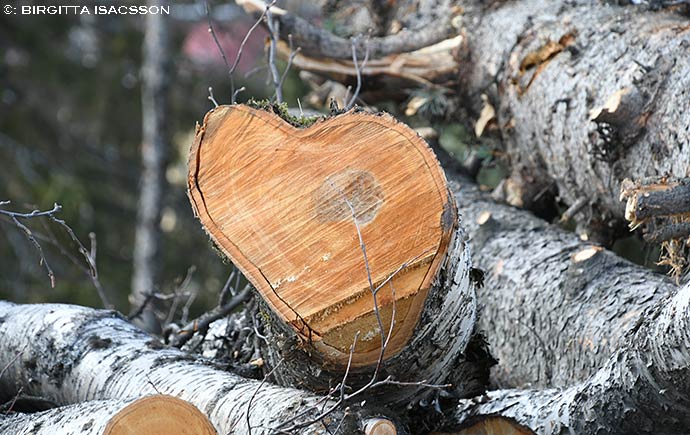 Kiruna-bilder-09