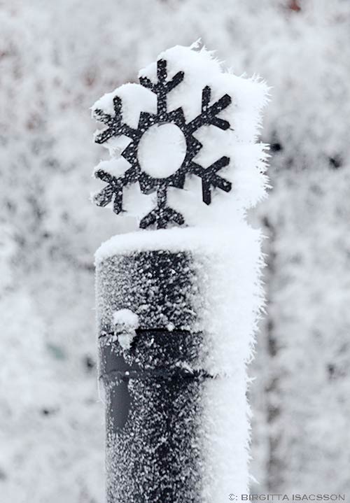 Kiruna-bilder-04