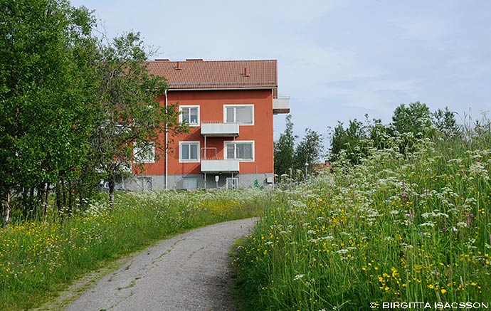 Kiruna-bilder-06