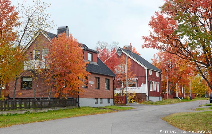Kiruna-bilder-07